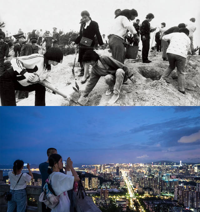 上圖：1985年，全市機關干部義務在板樟山上植樹；下圖：2020年，傍晚，市民和游客在板樟山上乘涼看風景