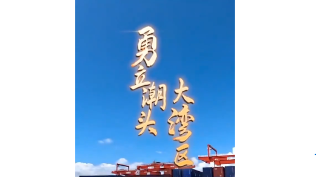 勇立潮頭大灣區丨震撼！看廣州南沙港智慧碼頭“隔空取物”