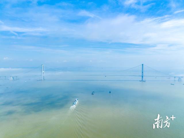 包攬多項世界之最的深中大橋。