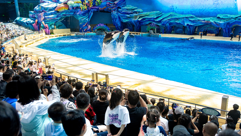 大灣區文旅消費熱力十足