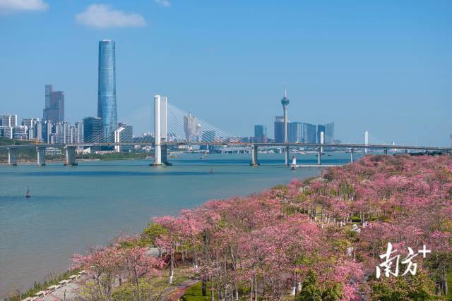 橫琴粵澳深度合作區(qū) 橫琴粵澳深度合作區(qū)