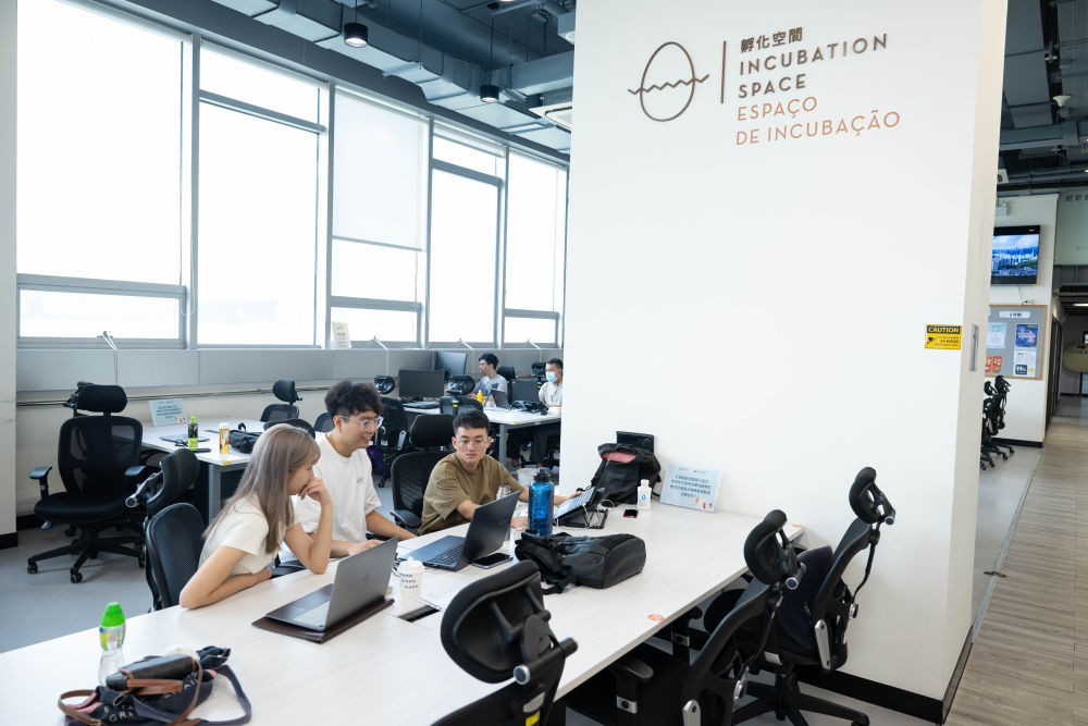 2024年6月17日，澳門青年在創(chuàng)業(yè)孵化中心工作。