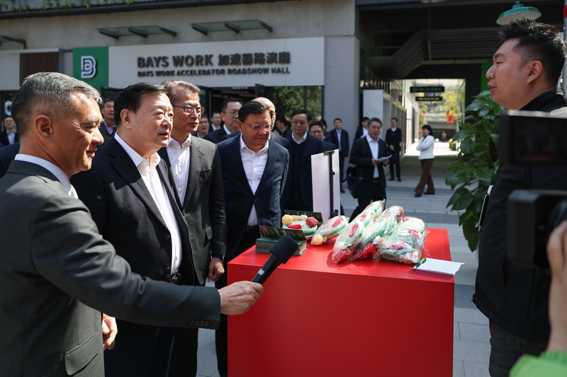 夏寶龍考察前海深港青年夢工場 夏寶龍考察前海深港青年夢工場