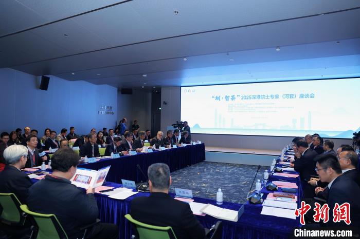 座談會現場。深圳海聯會供圖
