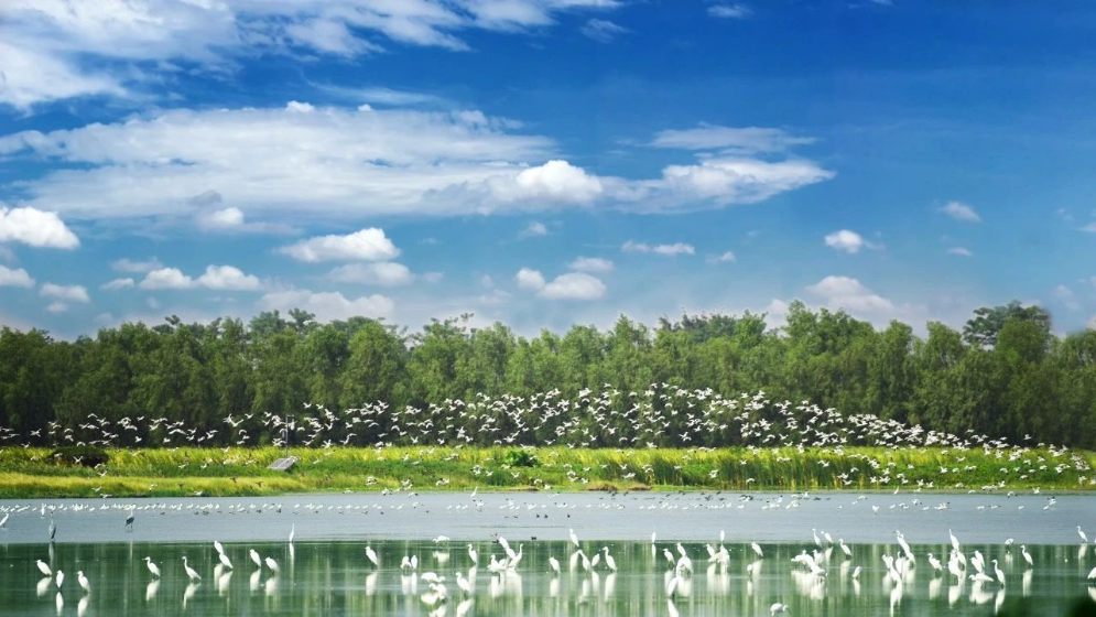 圖集｜環珠江口以生態筑基 托起澎湃“灣區藍”