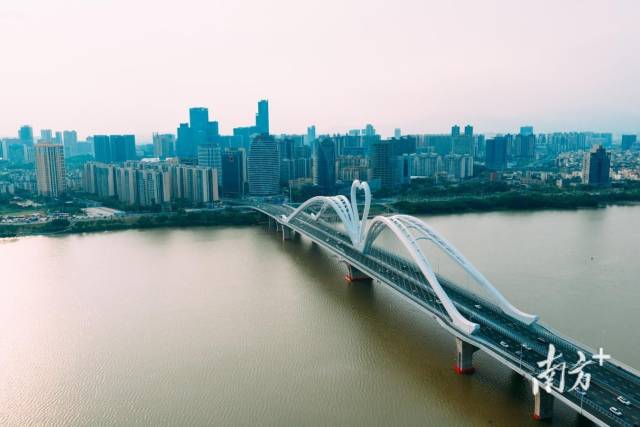 惠州鵝城大橋。
