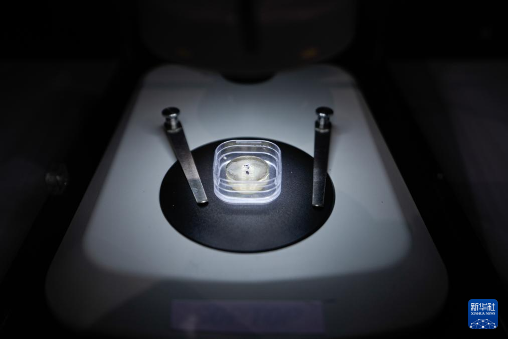 7月31日拍攝的展出的月壤樣品。新華社發(fā)（呂小煒 攝）