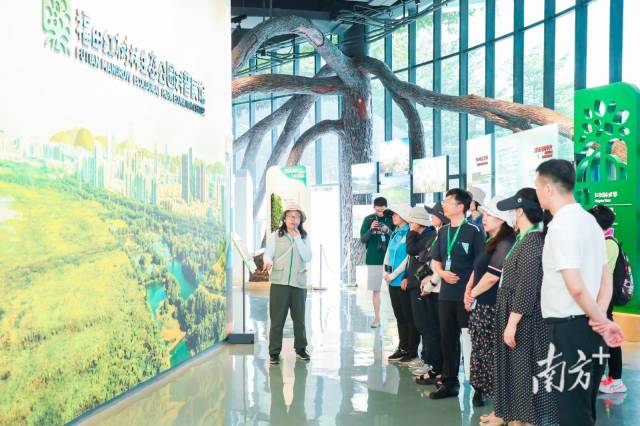 福田紅樹林生態公園內的科普教育