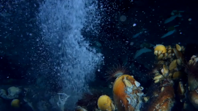 粵港澳大灣區是可燃冰開采的起源地。