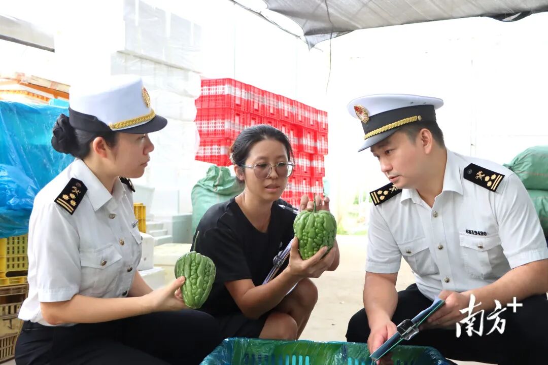 今年以來廣東外商投資企業(yè)發(fā)展態(tài)勢良好,進(jìn)出口增速較整體快2個百分點(diǎn)。 今年以來廣東外商投資企業(yè)發(fā)展態(tài)勢良好,進(jìn)出口增速較整體快2個百分點(diǎn)。