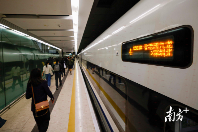 高鐵出行的便利，讓家屬可以實現“上午探親下午返港”，圖為廣深港高鐵。